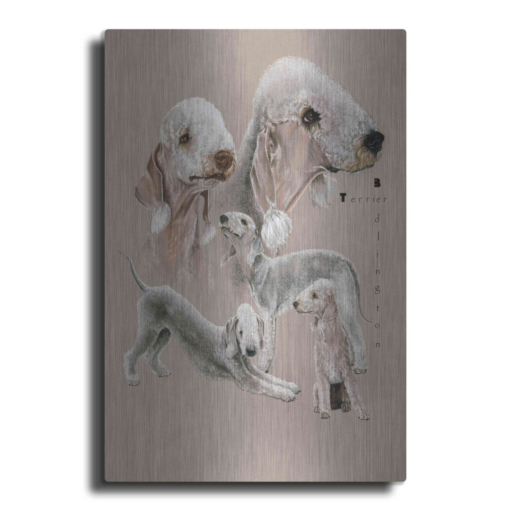 Luxe Metal Art 'Bedlington Terrier' by Barbara Keith, Metal Wall Art