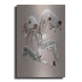 Luxe Metal Art 'Bedlington Terrier' by Barbara Keith, Metal Wall Art
