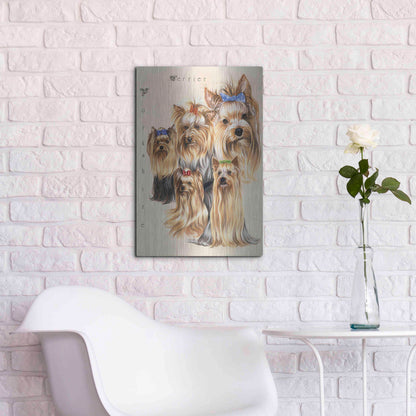 Luxe Metal Art 'Terrier' by Barbara Keith, Metal Wall Art,16x24