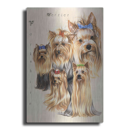 Luxe Metal Art 'Terrier' by Barbara Keith, Metal Wall Art