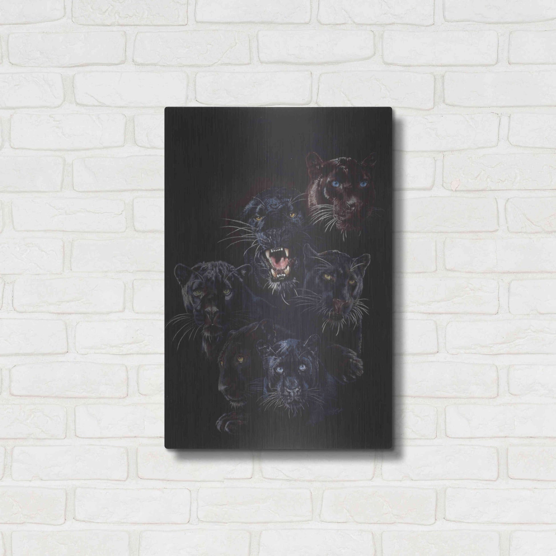 Luxe Metal Art 'Onyx' by Barbara Keith, Metal Wall Art,16x24