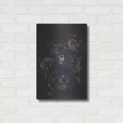 Luxe Metal Art 'Onyx' by Barbara Keith, Metal Wall Art,16x24