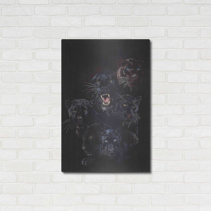 Luxe Metal Art 'Onyx' by Barbara Keith, Metal Wall Art,24x36