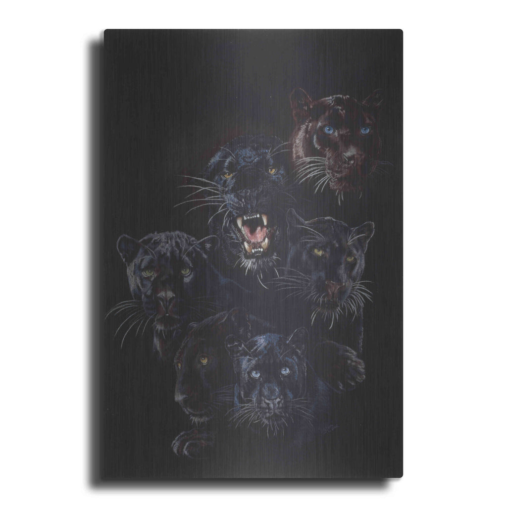 Luxe Metal Art 'Onyx' by Barbara Keith, Metal Wall Art