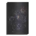 Luxe Metal Art 'Onyx' by Barbara Keith, Metal Wall Art