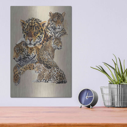 Luxe Metal Art 'Burn' by Barbara Keith, Metal Wall Art,12x16