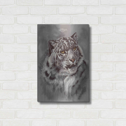 Luxe Metal Art 'Mountain Denizen' by Barbara Keith, Metal Wall Art,16x24