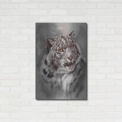 Luxe Metal Art 'Mountain Denizen' by Barbara Keith, Metal Wall Art,24x36