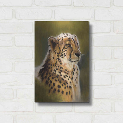 Luxe Metal Art 'Morning's Glow' by Barbara Keith, Metal Wall Art,12x16