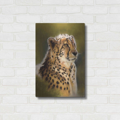 Luxe Metal Art 'Morning's Glow' by Barbara Keith, Metal Wall Art,16x24