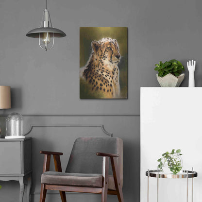 Luxe Metal Art 'Morning's Glow' by Barbara Keith, Metal Wall Art,16x24