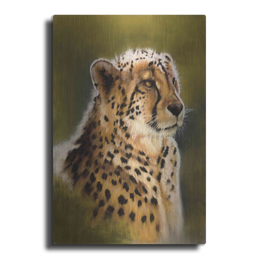 Luxe Metal Art 'Morning's Glow' by Barbara Keith, Metal Wall Art