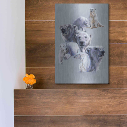 Luxe Metal Art 'Arctic King' by Barbara Keith, Metal Wall Art,12x16