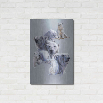 Luxe Metal Art 'Arctic King' by Barbara Keith, Metal Wall Art,24x36