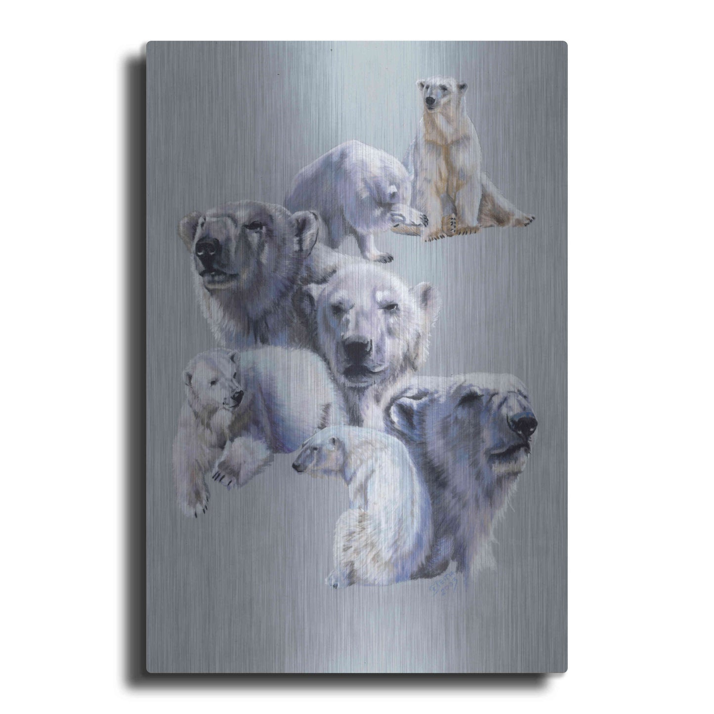 Luxe Metal Art 'Arctic King' by Barbara Keith, Metal Wall Art