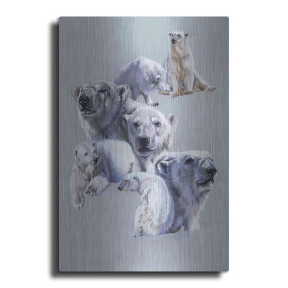 Luxe Metal Art 'Arctic King' by Barbara Keith, Metal Wall Art