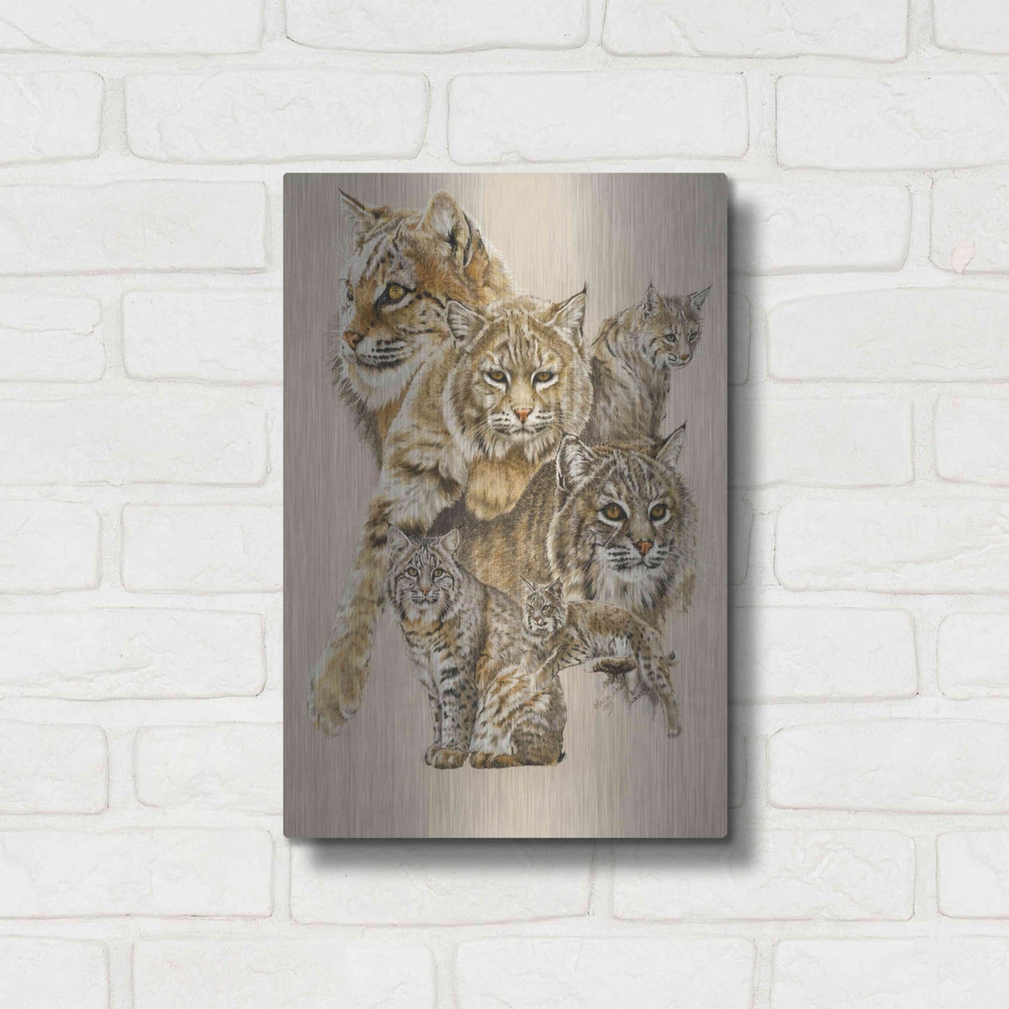 Luxe Metal Art 'Rascal' by Barbara Keith, Metal Wall Art,12x16