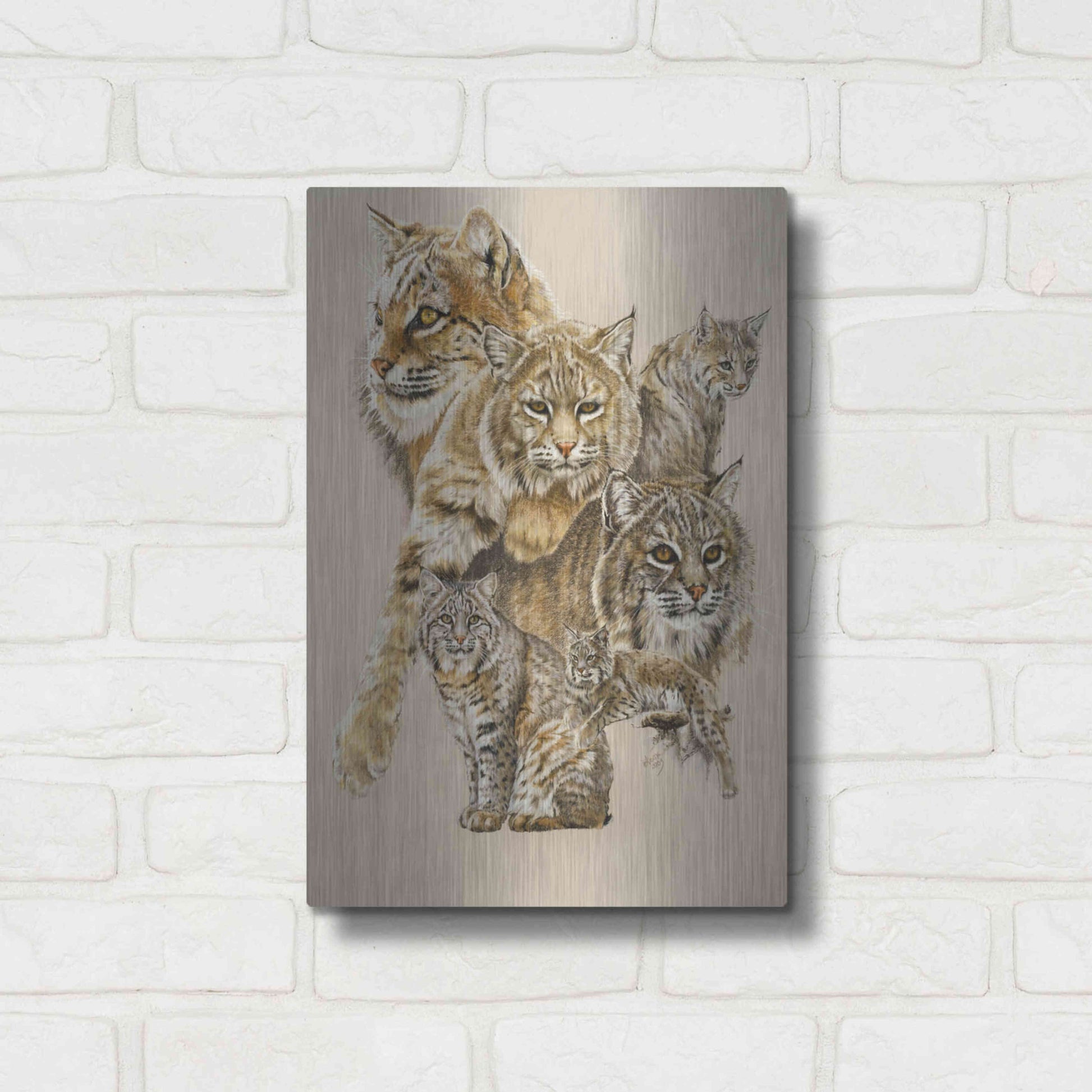 Luxe Metal Art 'Rascal' by Barbara Keith, Metal Wall Art,12x16