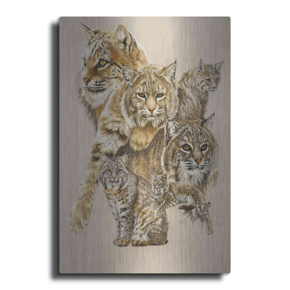 Luxe Metal Art 'Rascal' by Barbara Keith, Metal Wall Art