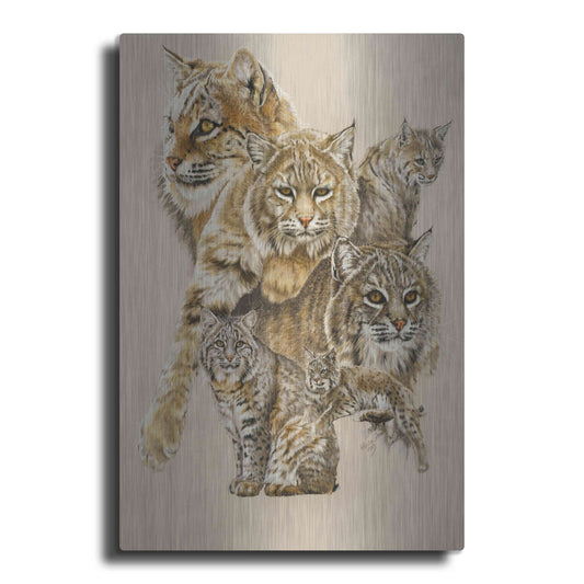 Luxe Metal Art 'Rascal' by Barbara Keith, Metal Wall Art