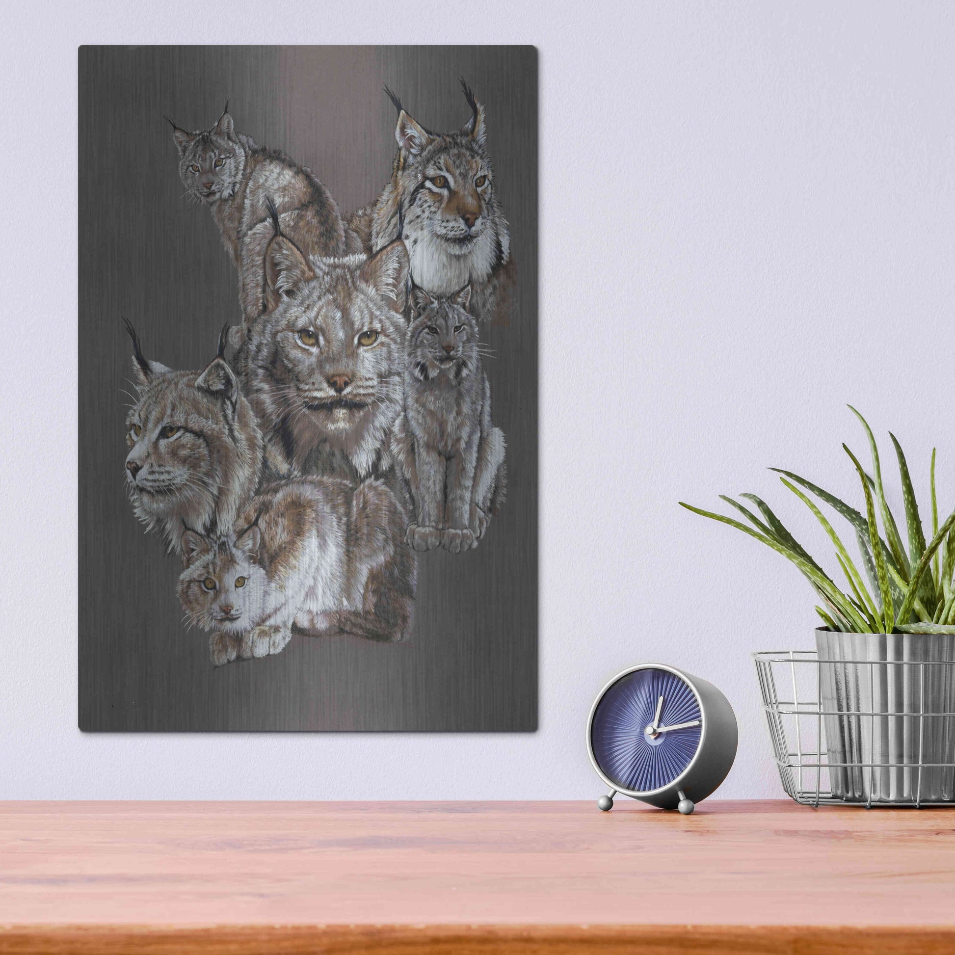 Luxe Metal Art 'Rogue' by Barbara Keith, Metal Wall Art,12x16