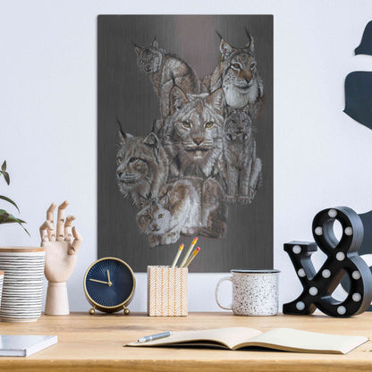 Luxe Metal Art 'Rogue' by Barbara Keith, Metal Wall Art,12x16