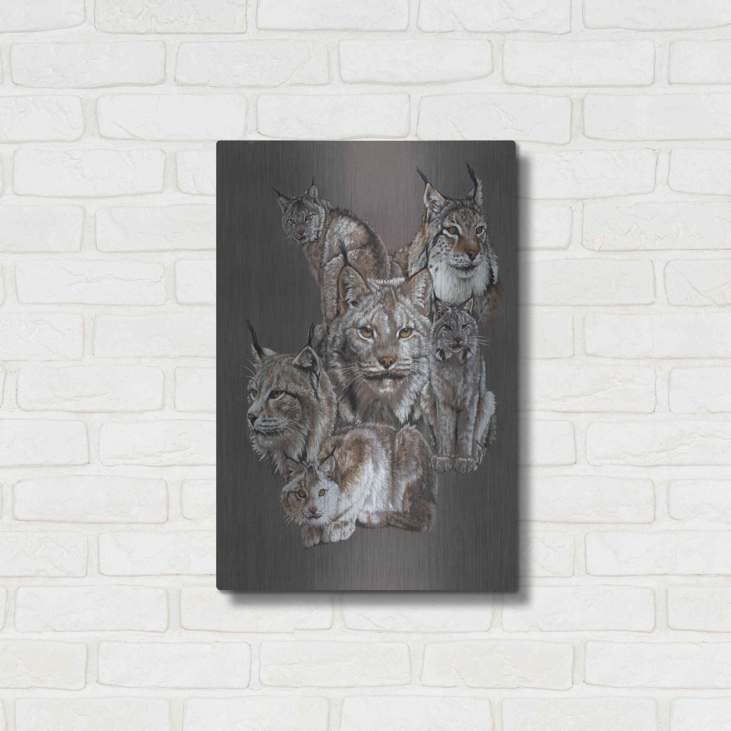 Luxe Metal Art 'Rogue' by Barbara Keith, Metal Wall Art,16x24