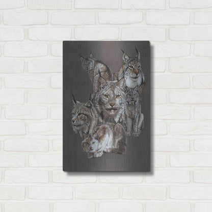 Luxe Metal Art 'Rogue' by Barbara Keith, Metal Wall Art,16x24