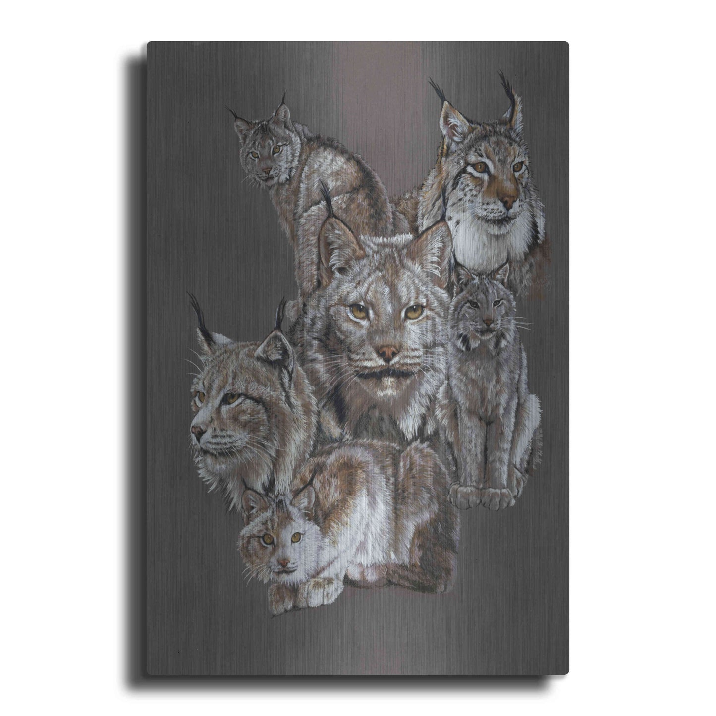 Luxe Metal Art 'Rogue' by Barbara Keith, Metal Wall Art