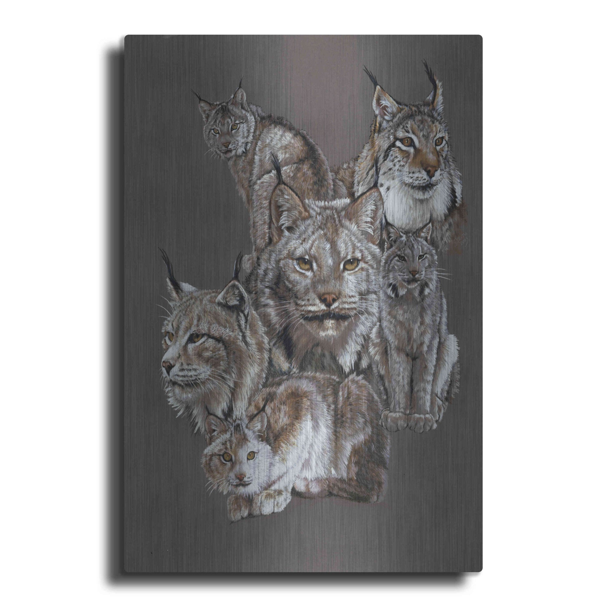 Luxe Metal Art 'Rogue' by Barbara Keith, Metal Wall Art