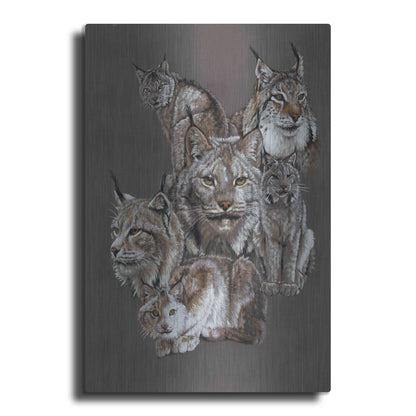 Luxe Metal Art 'Rogue' by Barbara Keith, Metal Wall Art