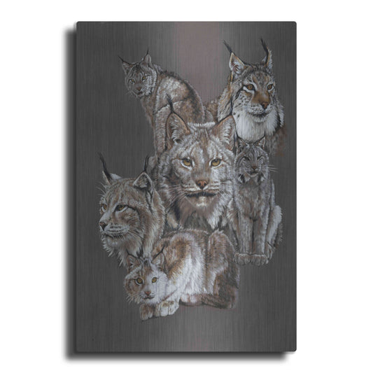 Luxe Metal Art 'Rogue' by Barbara Keith, Metal Wall Art