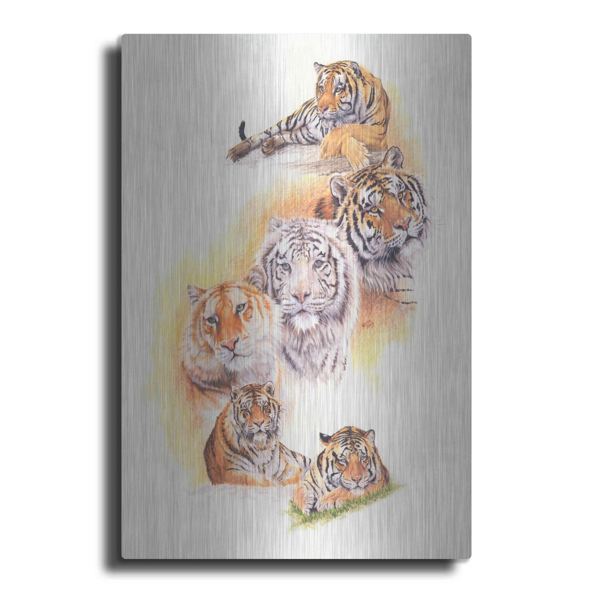 Luxe Metal Art 'Six Pack' by Barbara Keith, Metal Wall Art