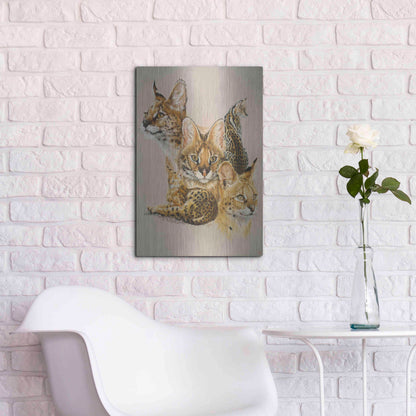 Luxe Metal Art 'Adroit' by Barbara Keith, Metal Wall Art,16x24