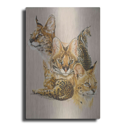 Luxe Metal Art 'Adroit' by Barbara Keith, Metal Wall Art