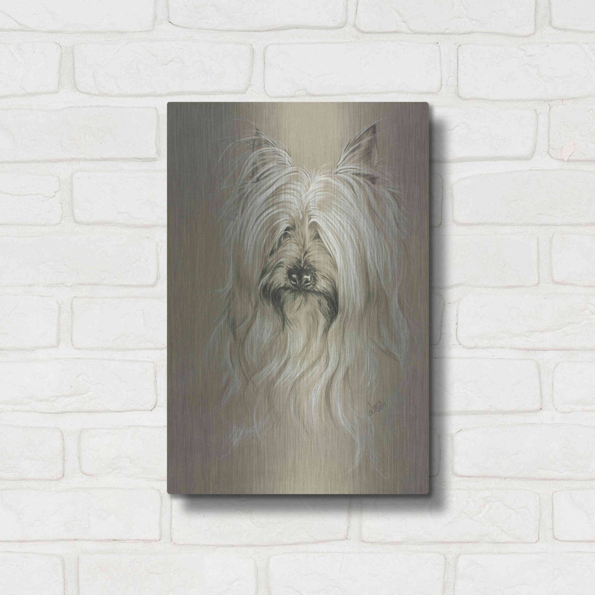 Luxe Metal Art 'Silky Terrier' by Barbara Keith, Metal Wall Art,12x16