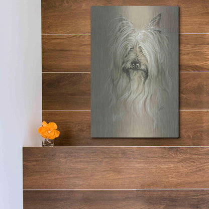 Luxe Metal Art 'Silky Terrier' by Barbara Keith, Metal Wall Art,12x16