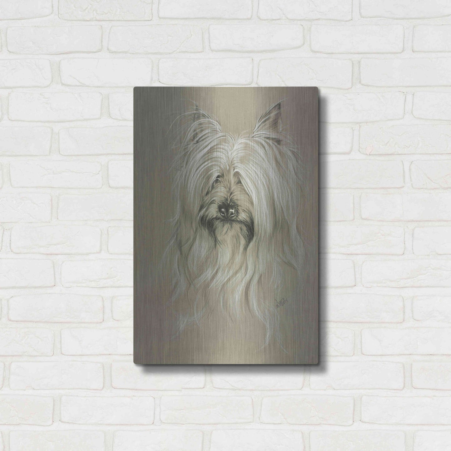 Luxe Metal Art 'Silky Terrier' by Barbara Keith, Metal Wall Art,16x24