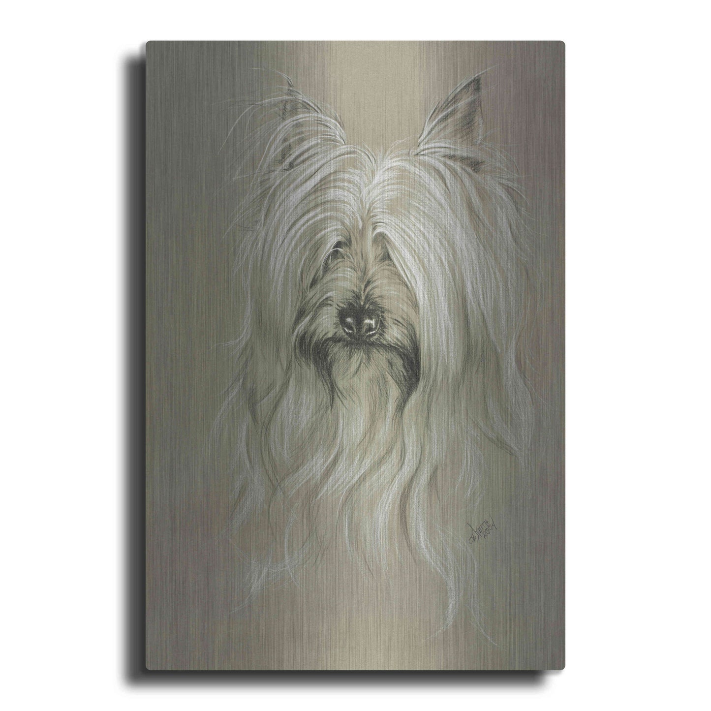 Luxe Metal Art 'Silky Terrier' by Barbara Keith, Metal Wall Art