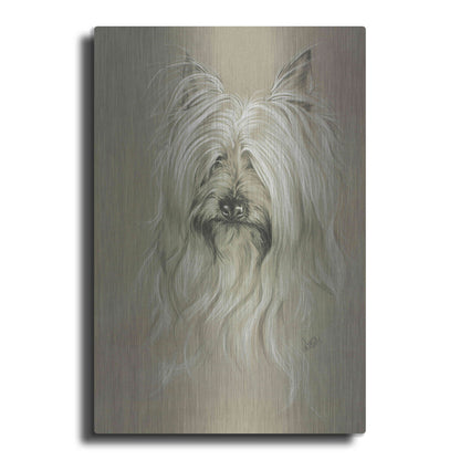 Luxe Metal Art 'Silky Terrier' by Barbara Keith, Metal Wall Art