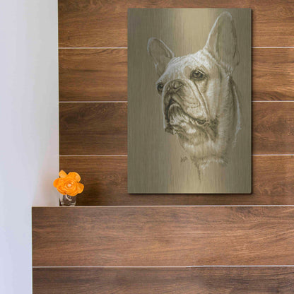 Luxe Metal Art 'French Bulldog' by Barbara Keith, Metal Wall Art,12x16