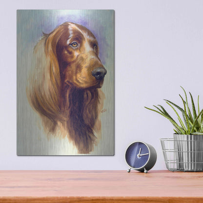 Luxe Metal Art 'Irish Setter' by Barbara Keith, Metal Wall Art,12x16