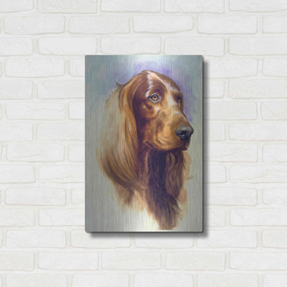 Luxe Metal Art 'Irish Setter' by Barbara Keith, Metal Wall Art,16x24