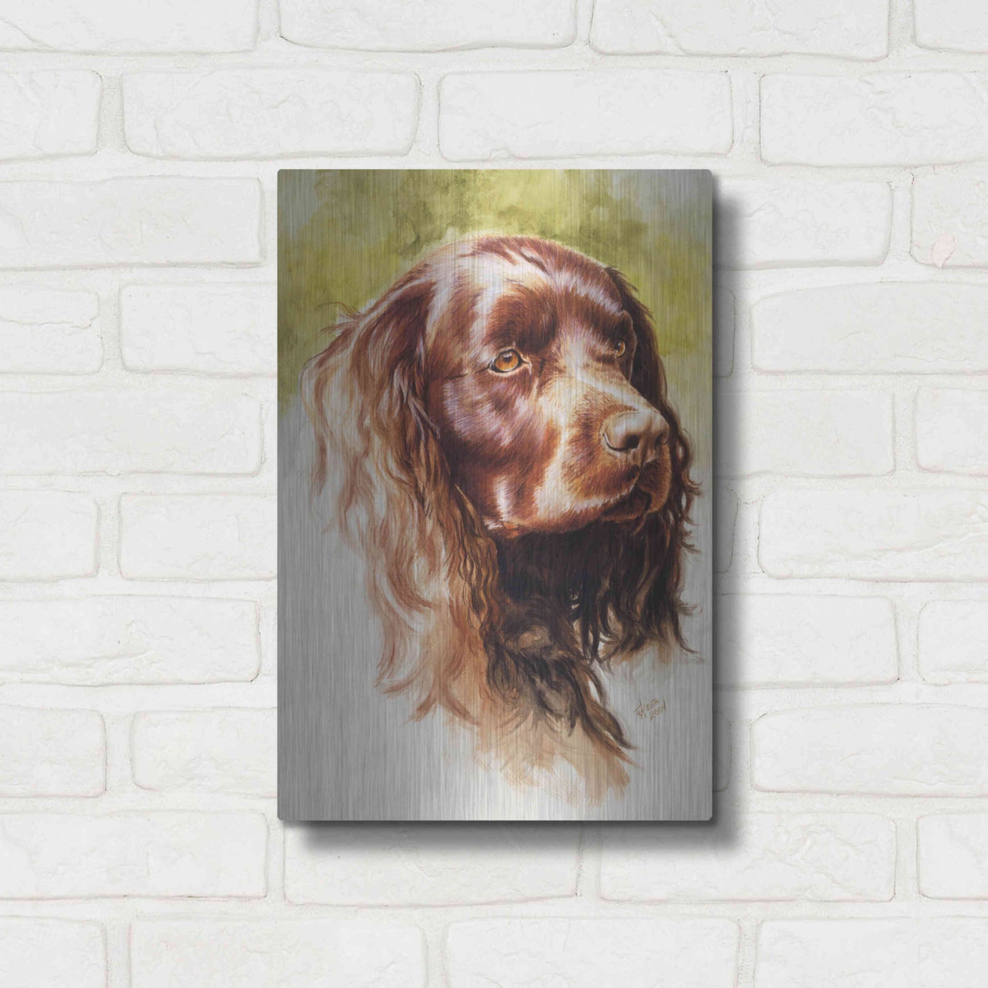 Luxe Metal Art 'Am Water Spaniel' by Barbara Keith, Metal Wall Art,12x16