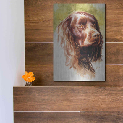 Luxe Metal Art 'Am Water Spaniel' by Barbara Keith, Metal Wall Art,12x16