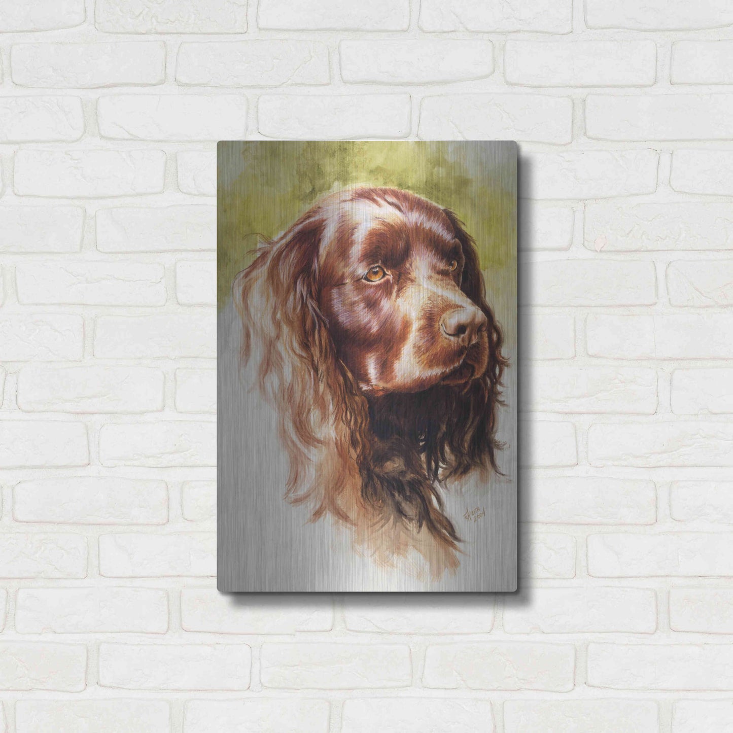 Luxe Metal Art 'Am Water Spaniel' by Barbara Keith, Metal Wall Art,16x24
