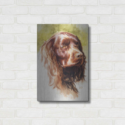 Luxe Metal Art 'Am Water Spaniel' by Barbara Keith, Metal Wall Art,16x24