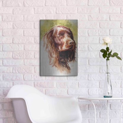 Luxe Metal Art 'Am Water Spaniel' by Barbara Keith, Metal Wall Art,16x24