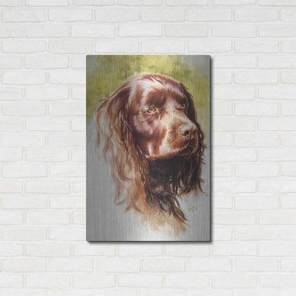 Luxe Metal Art 'Am Water Spaniel' by Barbara Keith, Metal Wall Art,24x36