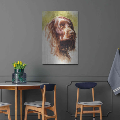 Luxe Metal Art 'Am Water Spaniel' by Barbara Keith, Metal Wall Art,24x36